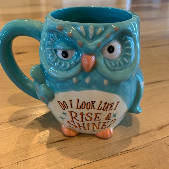 Cracker Barrel Stoneware Coffee Cup Owl Rise Shine Mug - Picture 8 of 10